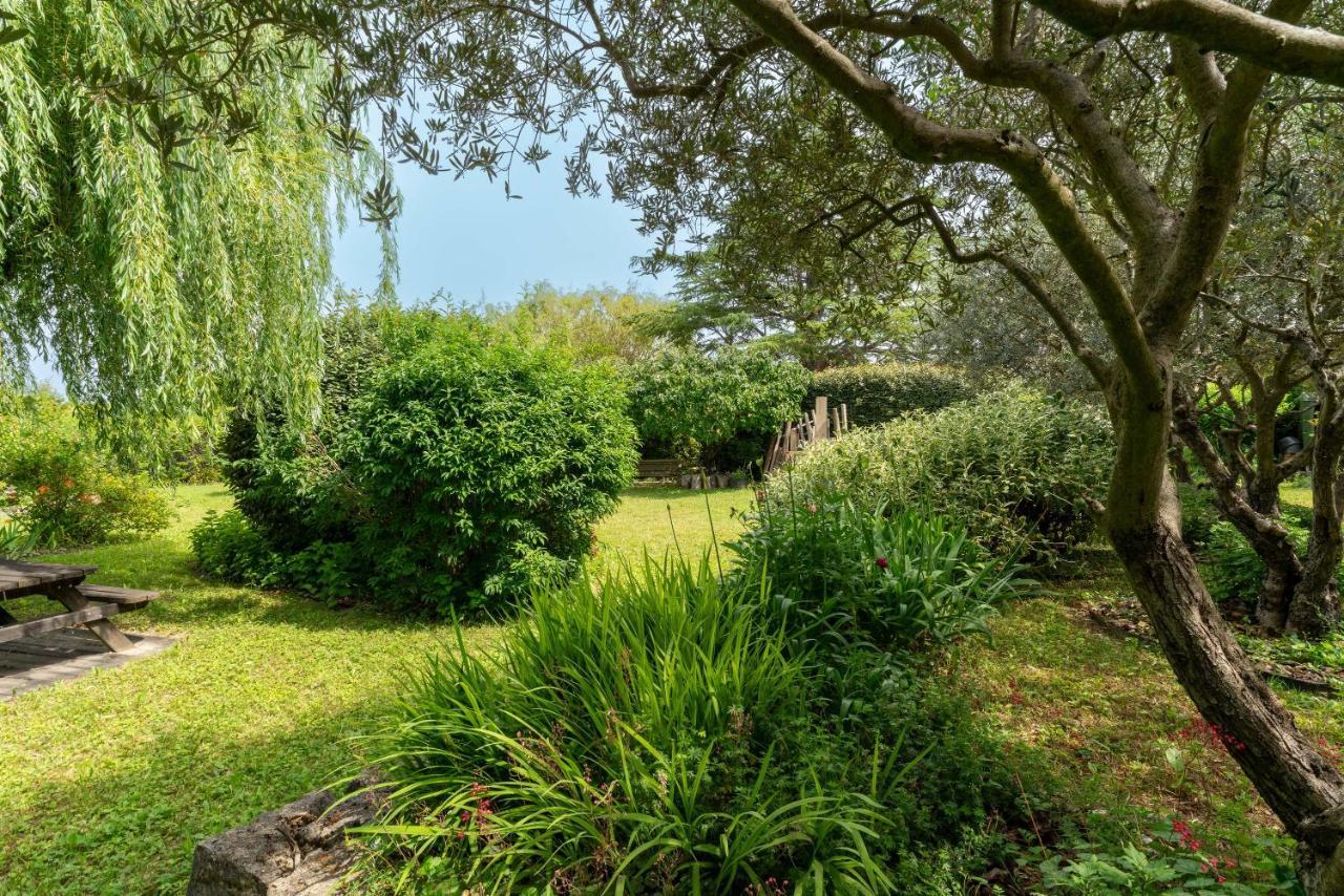 Villa La Mireio Malaucène 외부 사진